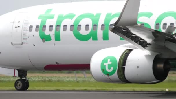 Pohled zblízka na letadlo, jak přistává — Stock video