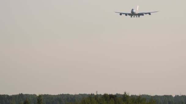 Avião de carga no céu desce para terra — Vídeo de Stock