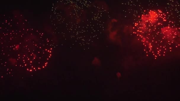 Helder kleurrijk vuurwerk ter ere van de vakantie — Stockvideo