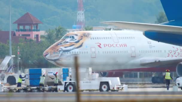 Boeing 747 con librea de cara de tigre — Vídeo de stock