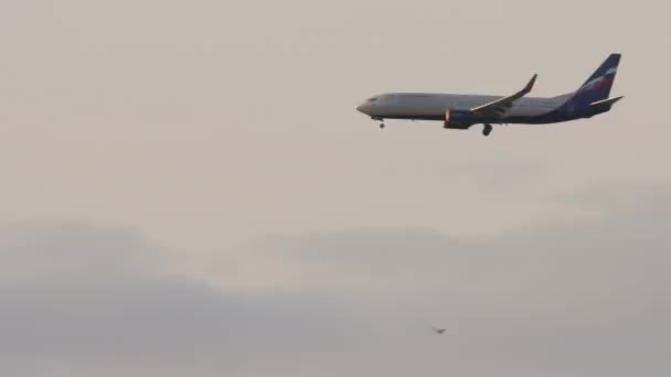 Légi jármű közeledik a repülőtérre naplementekor háttérvilágítás — Stock videók