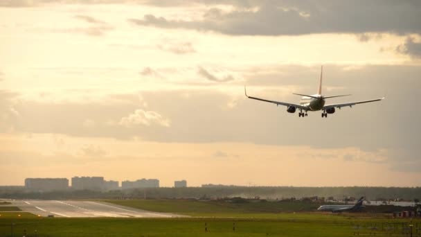 Flugzeug landet bei Sonnenuntergang — Stockvideo