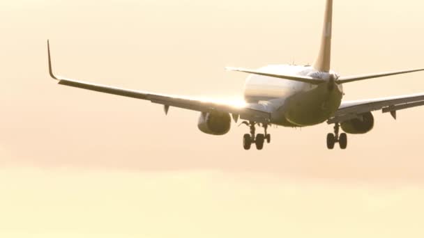 Jet landing at sunset — Stock Video
