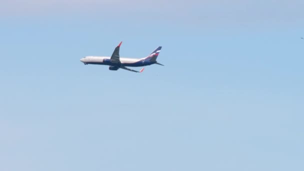 Боїнг 737 Аерофлот перед посадкою — стокове відео