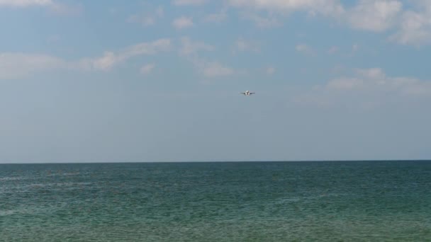 飞机在海面上低空飞行 — 图库视频影像