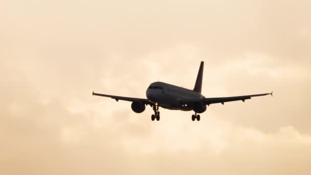 Silueta de avión en cielo dorado al atardecer — Vídeos de Stock