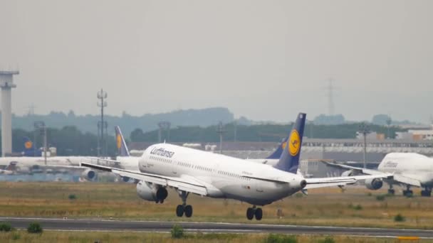 Toccando l'aereo durante l'atterraggio, vista posteriore — Video Stock