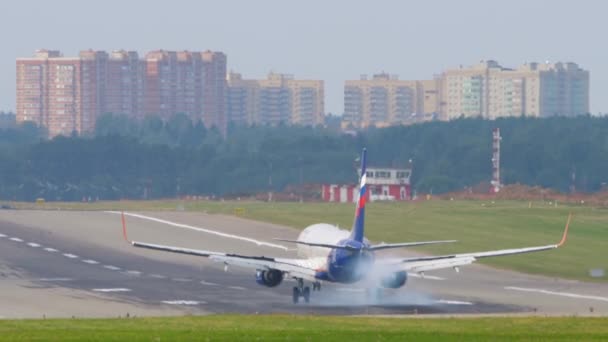 İniş yapan uçağın arka görüntüsü — Stok video