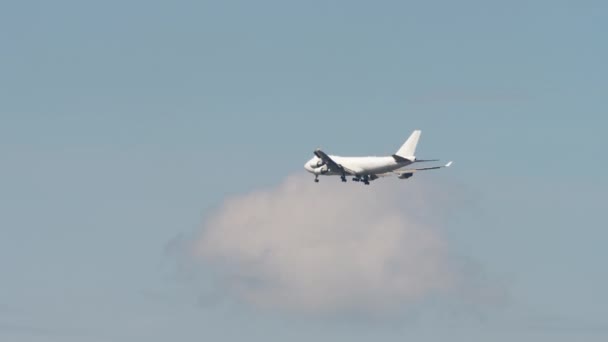 Grote kans op een groot vliegtuig in de lucht — Stockvideo