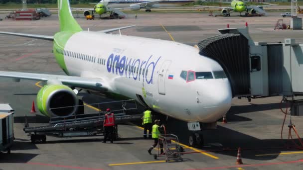 Plane S7 Airlines at Domodedovo airport — Stock Video