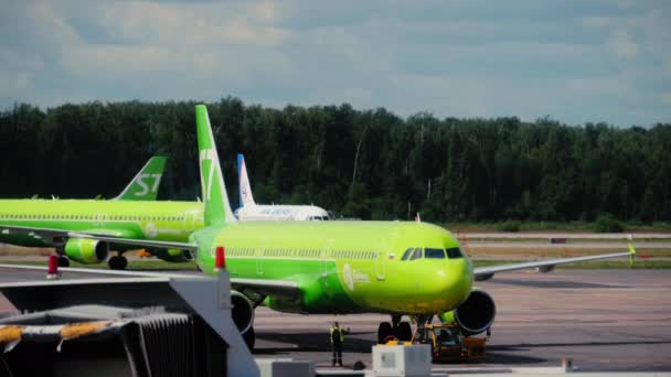 Авиакомпания S7 в аэропорту Домодедово — стоковое видео