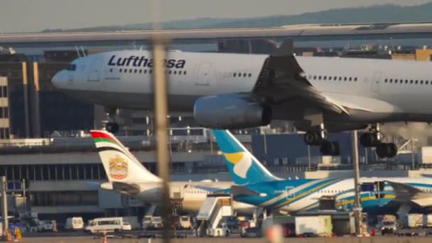 Lufthansa airliner landing, side view — Stock Video