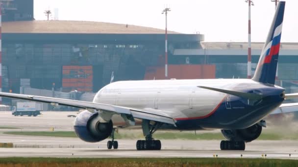 Vista trasera de los paseos en avión — Vídeos de Stock