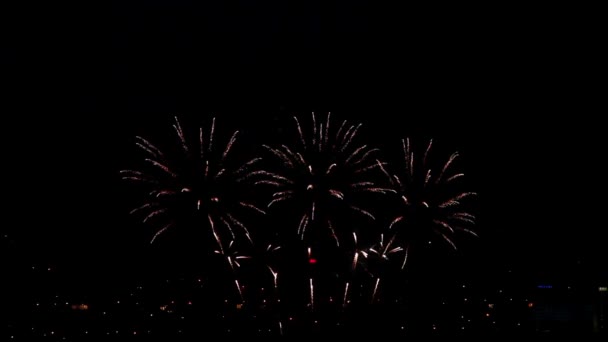 Fogos de artifício no céu — Vídeo de Stock