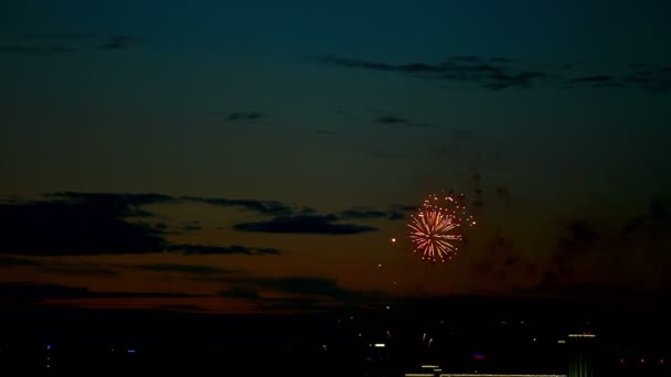 Fogo de artifício nocturno — Vídeo de Stock