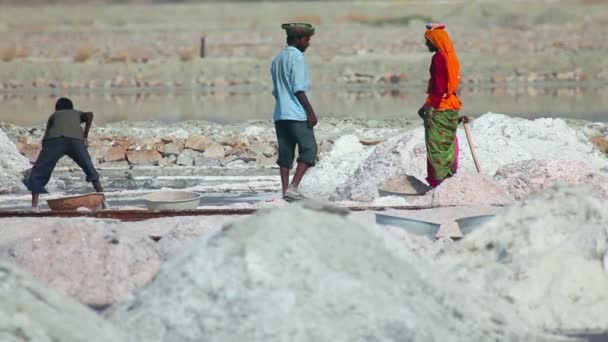 Minería de sal — Vídeos de Stock