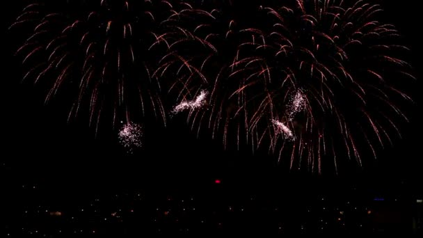 Fireworks in sky — Stock Video