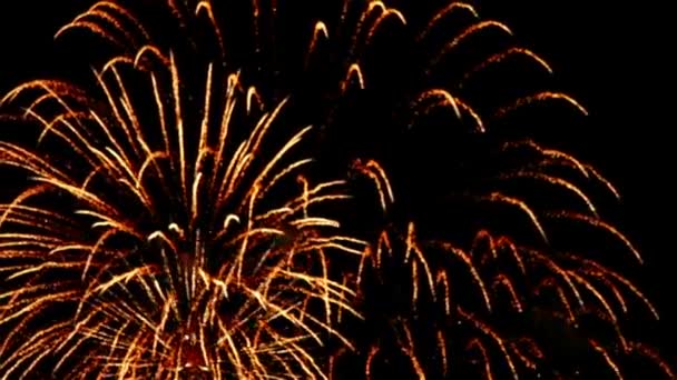 Feuerwerk am Himmel — Stockvideo