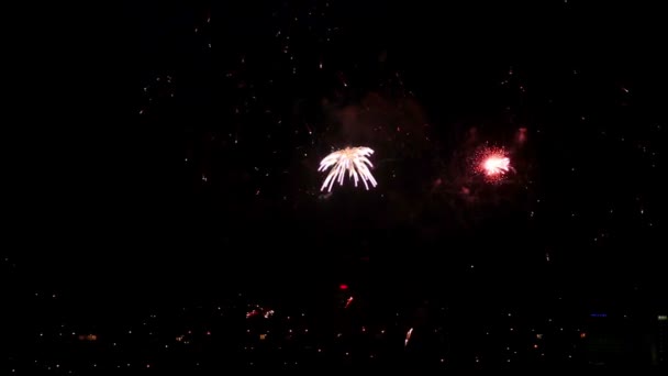 Fuochi d'artificio in cielo — Video Stock