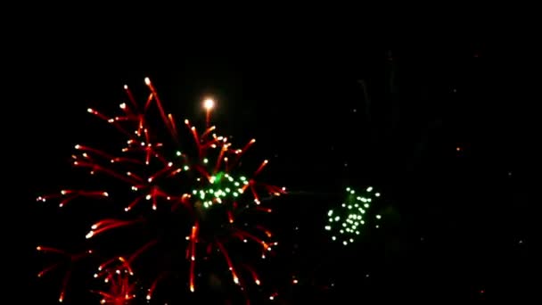 Fogo de artifício nocturno — Vídeo de Stock