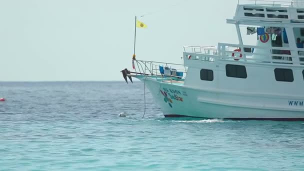 Dive boat — Stock Video