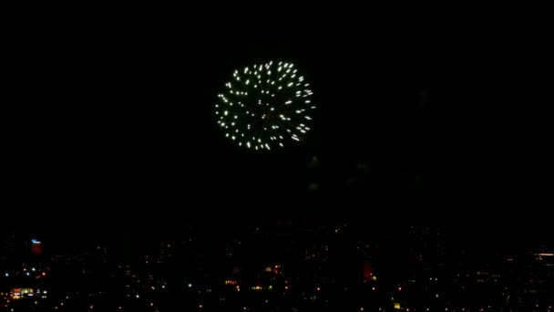 Fuochi d'artificio serali — Video Stock