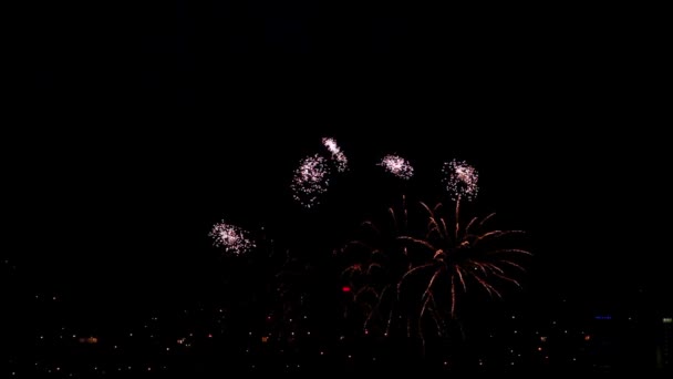 Fuochi artificiali — Video Stock