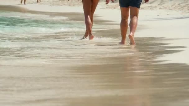 Strand wandelen — Stockvideo