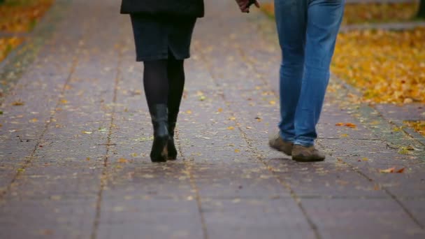 Caminando — Vídeo de stock