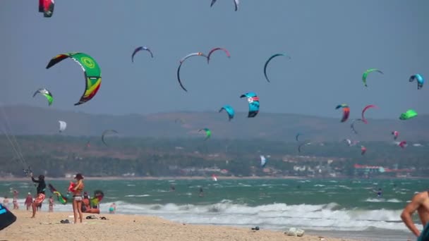 Kites and surfers — Stock Video