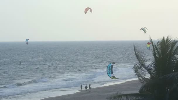 Kite surfers aan de wal — Stockvideo