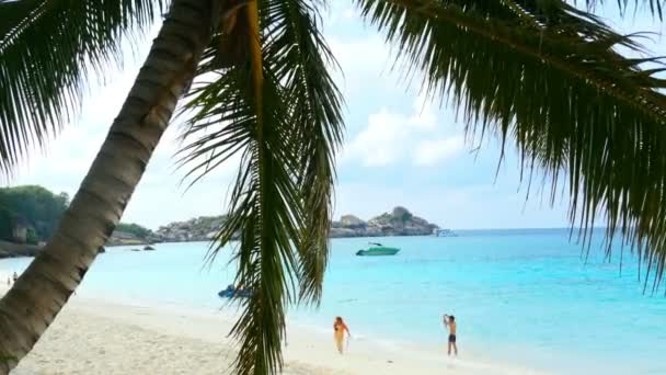 Playa Paradise — Vídeo de stock