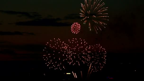 Fuochi artificiali — Video Stock