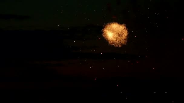 Fuochi artificiali — Video Stock