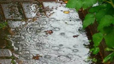 Yaz yağmuru su yüzeyi