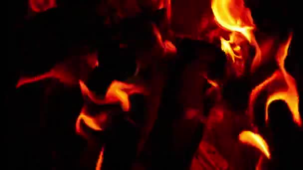 燃烧的桦木柴 — 图库视频影像