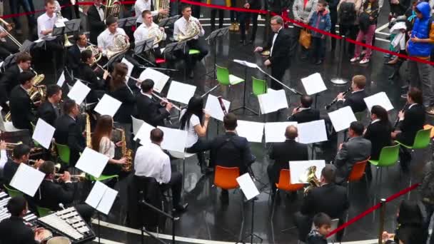 Philharmonic Orchestra konser — Stok Video