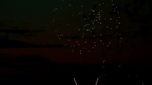 Feux d'artifice dans le ciel nocturne — Video