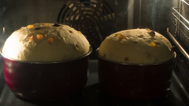 オーブンでイースター ケーキ — ストック動画