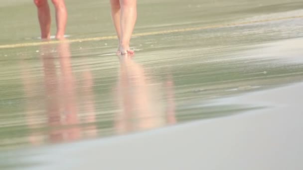 Spaziergänge am Strand — Stockvideo