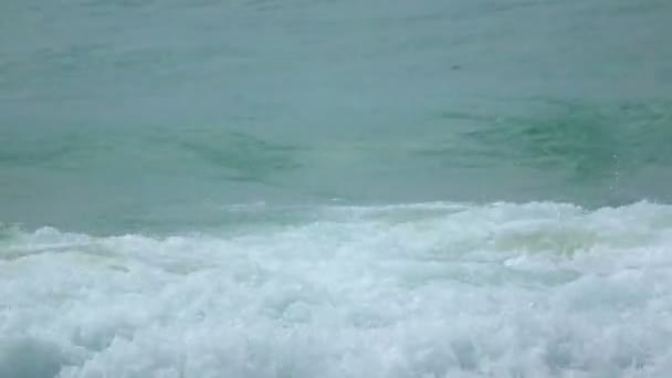 Onde della spiaggia — Video Stock