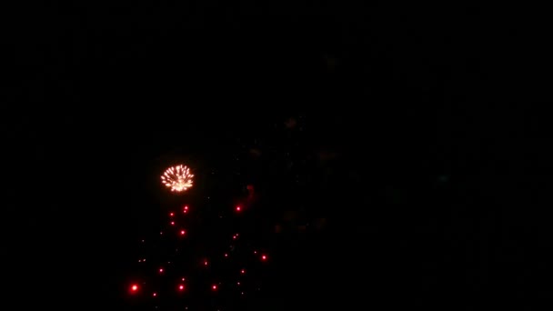 Fireworks — Stock Video