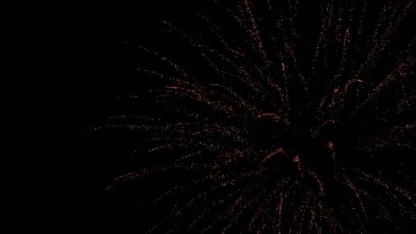 Fogos de artifício — Vídeo de Stock