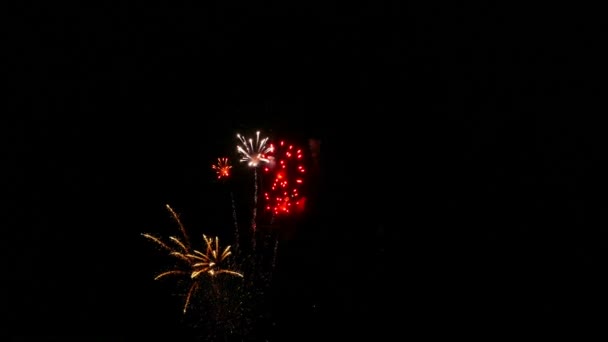 Fuegos artificiales — Vídeo de stock