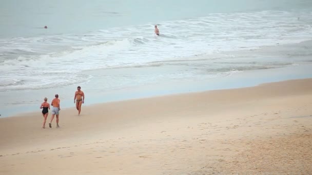 Ocean beach — Stock video