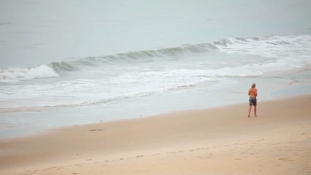 Ocean beach — стокове відео