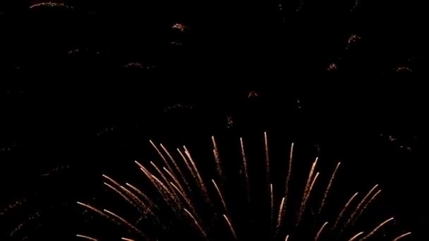 Fireworks — Stock Video