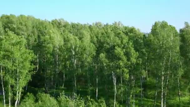 シベリアの風景 — ストック動画