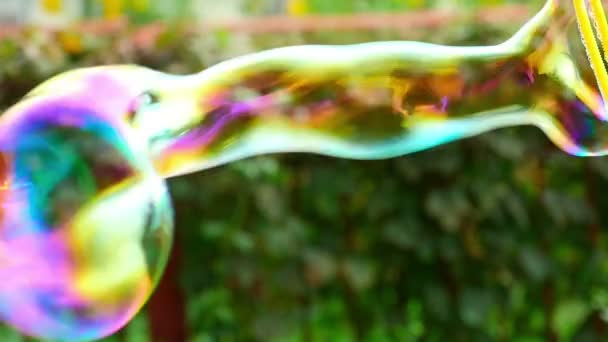 Soap bubble — Stock Video