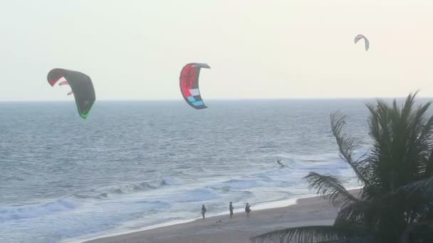 Praia de Kitesurfers — Vídeo de Stock